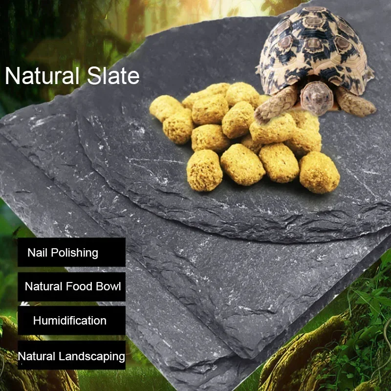 Aquarium Fish Pot - Natural Slate Aquarium Pet Réptil Alimentador,