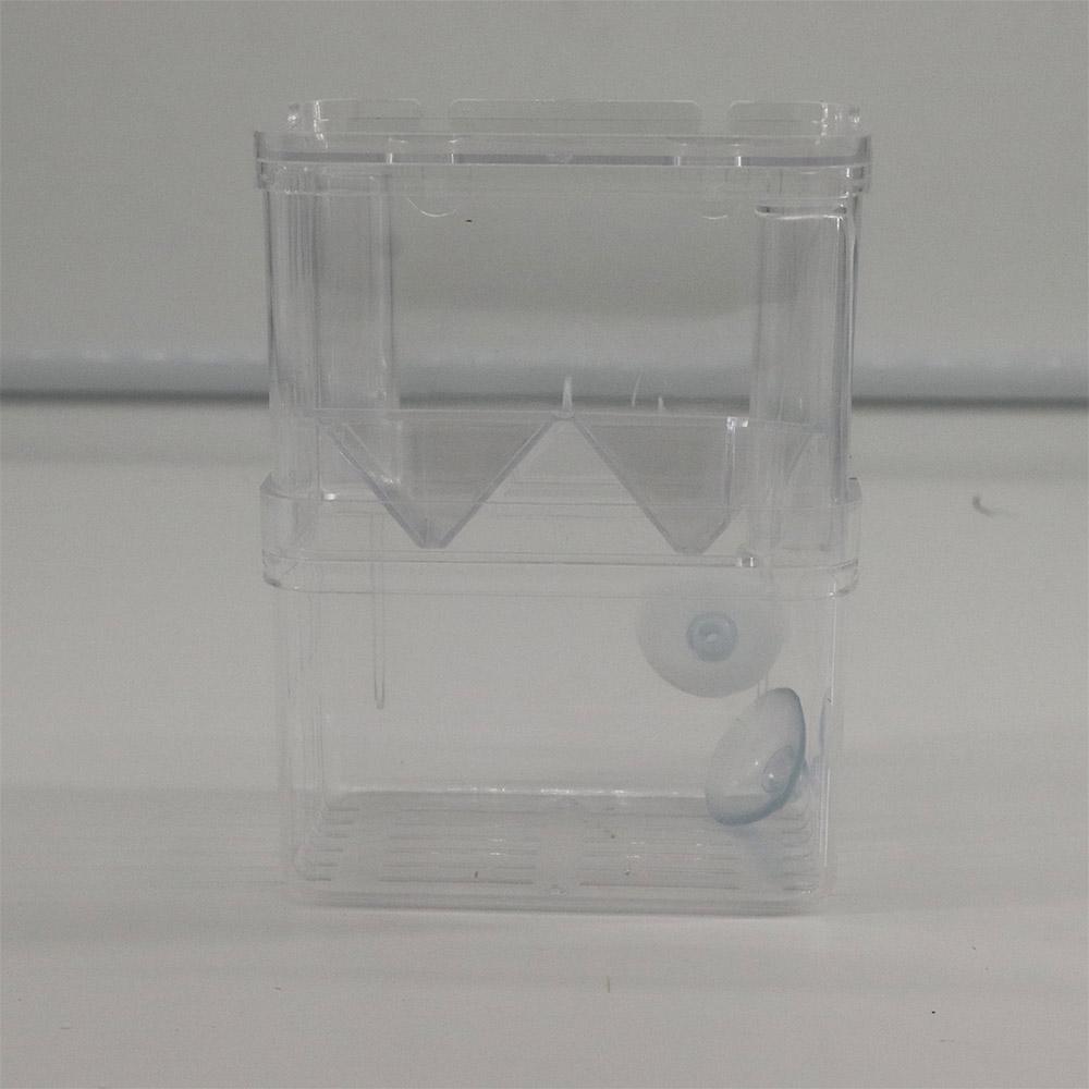 Aquarium Fish Reproduction - Tanque de aquário para peixes de