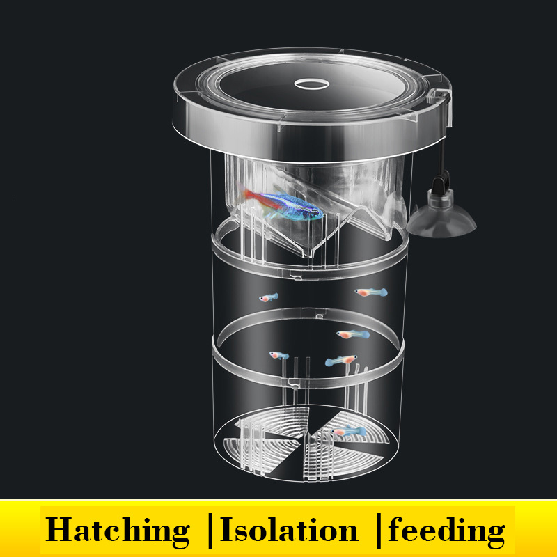 Aquarium Fish Accessories - Caixa de isolamento flutuante para criação