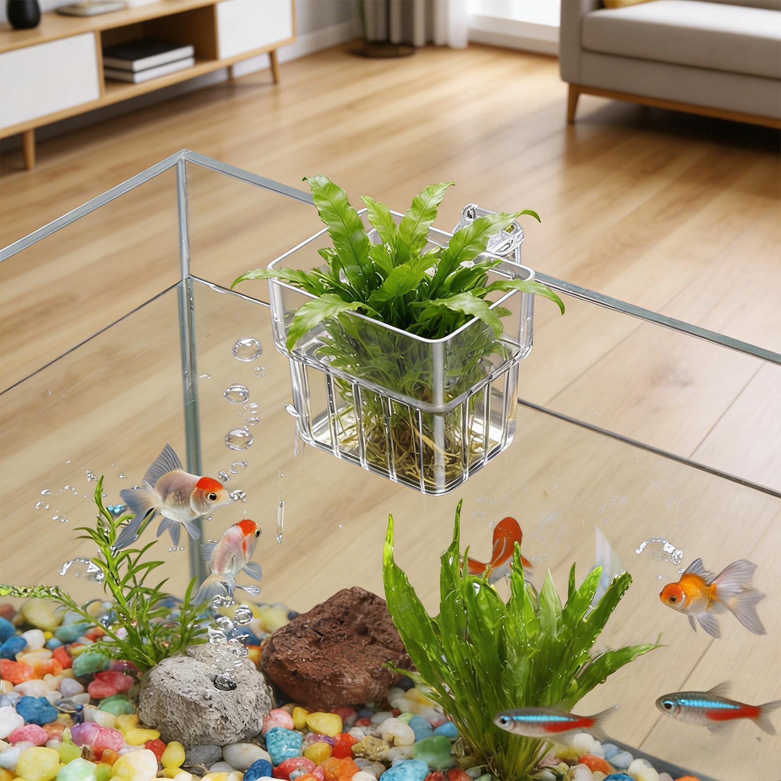 Aquarium Fish Pot - Suporte Transparente Pendurável para Plantas de