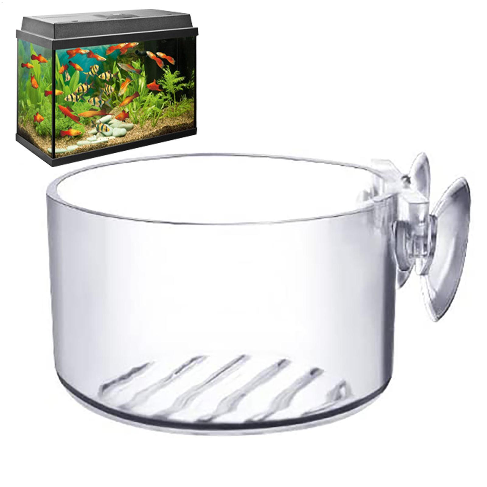 Aquarium Fish Pot - Vaso de Planta Aquática em Acrílico