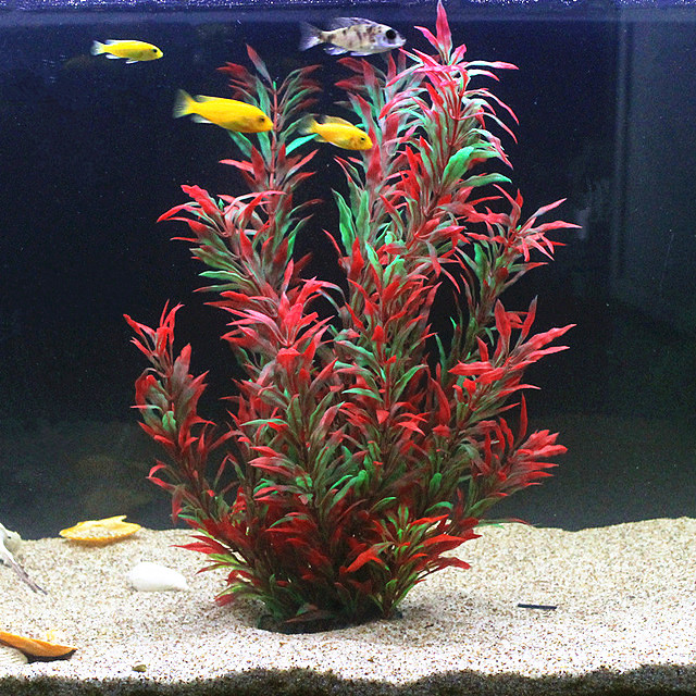 Aquarium Fish Buy - Plantas Artificiais Raras para Aquário de