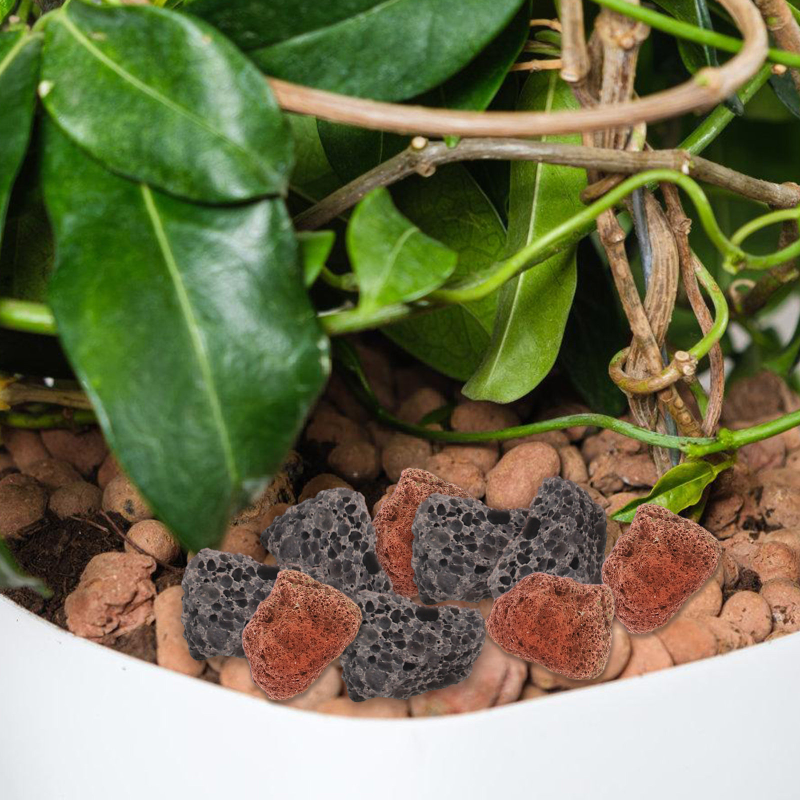 Conjunto de Pedras Decorativas - Aquarium Decoration Rock avaliação e preço
