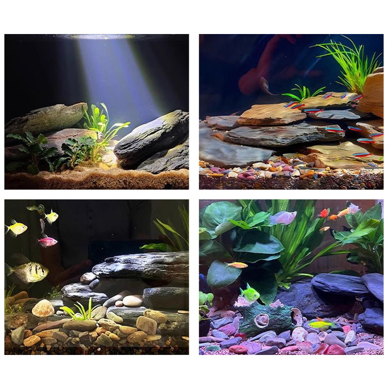 Kit de Pedras para Paisagismo  - Aquarium Fish Farm avaliação e preço