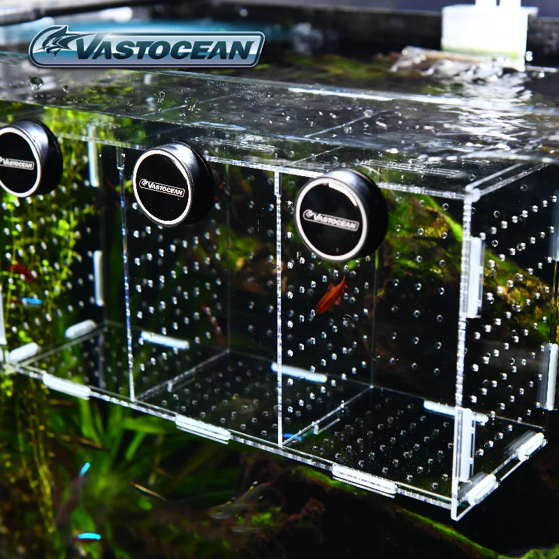 VASTOCEANO-Magnético Combinado - Aquarium Fish Cave avaliação e preço