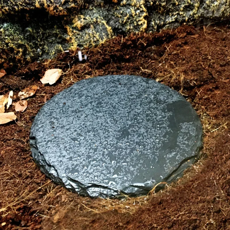 Natural Slate Aquarium Pet Rép - Aquarium Fish Pot avaliação e preço