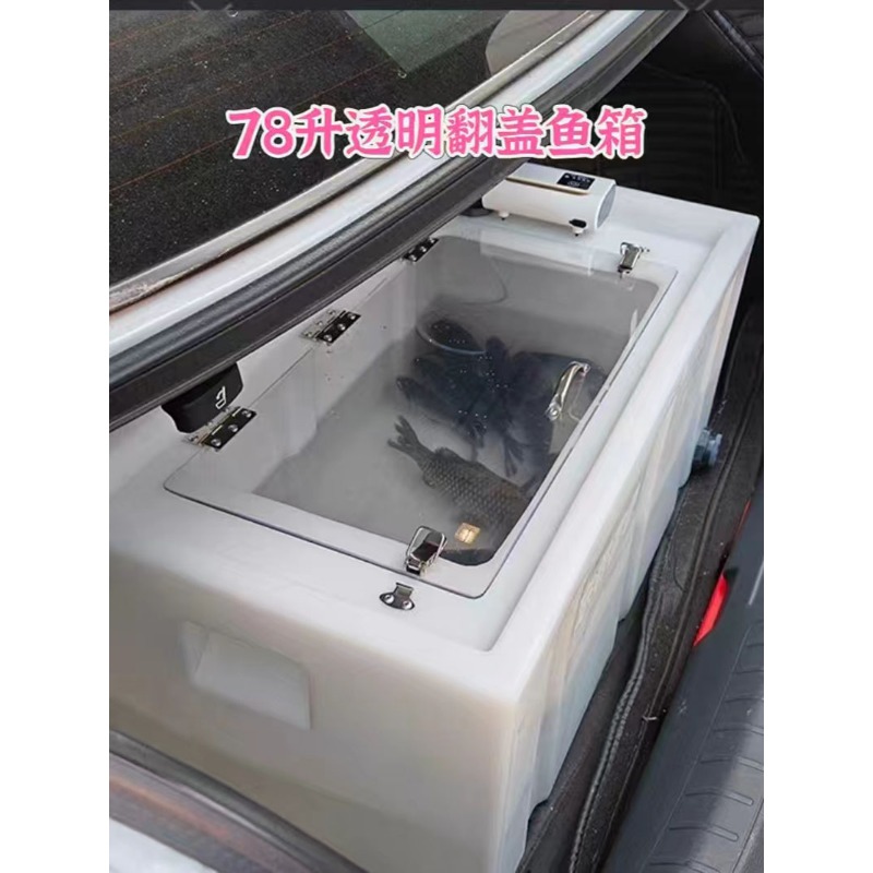 Caixa de peixes vivos para mon - Aquarium Fish Buy avaliação e preço