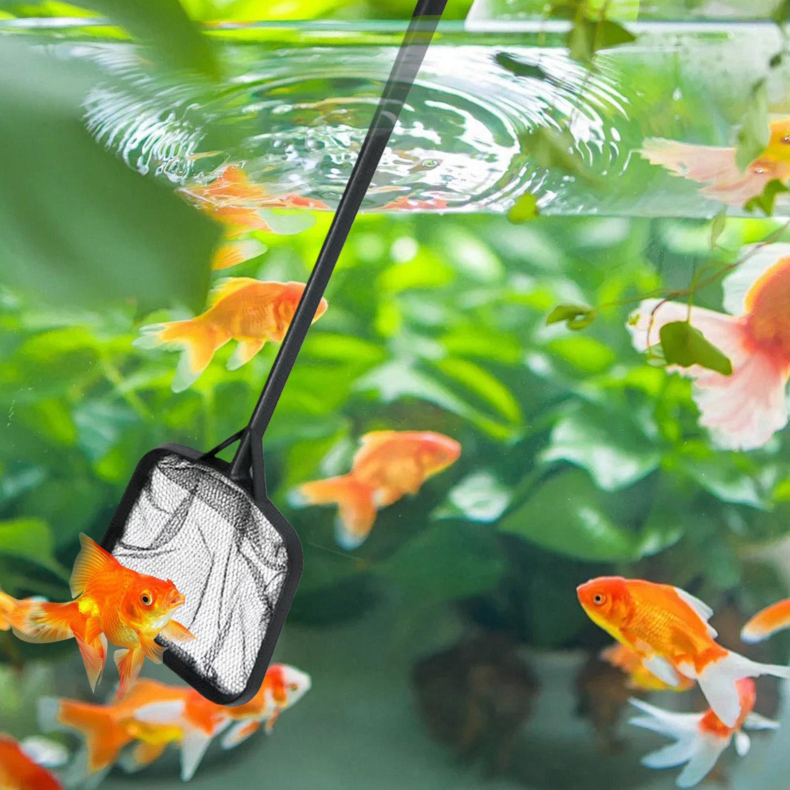 Redes para Limpeza de Piscinas - Aquarium Fish Buy avaliação e preço