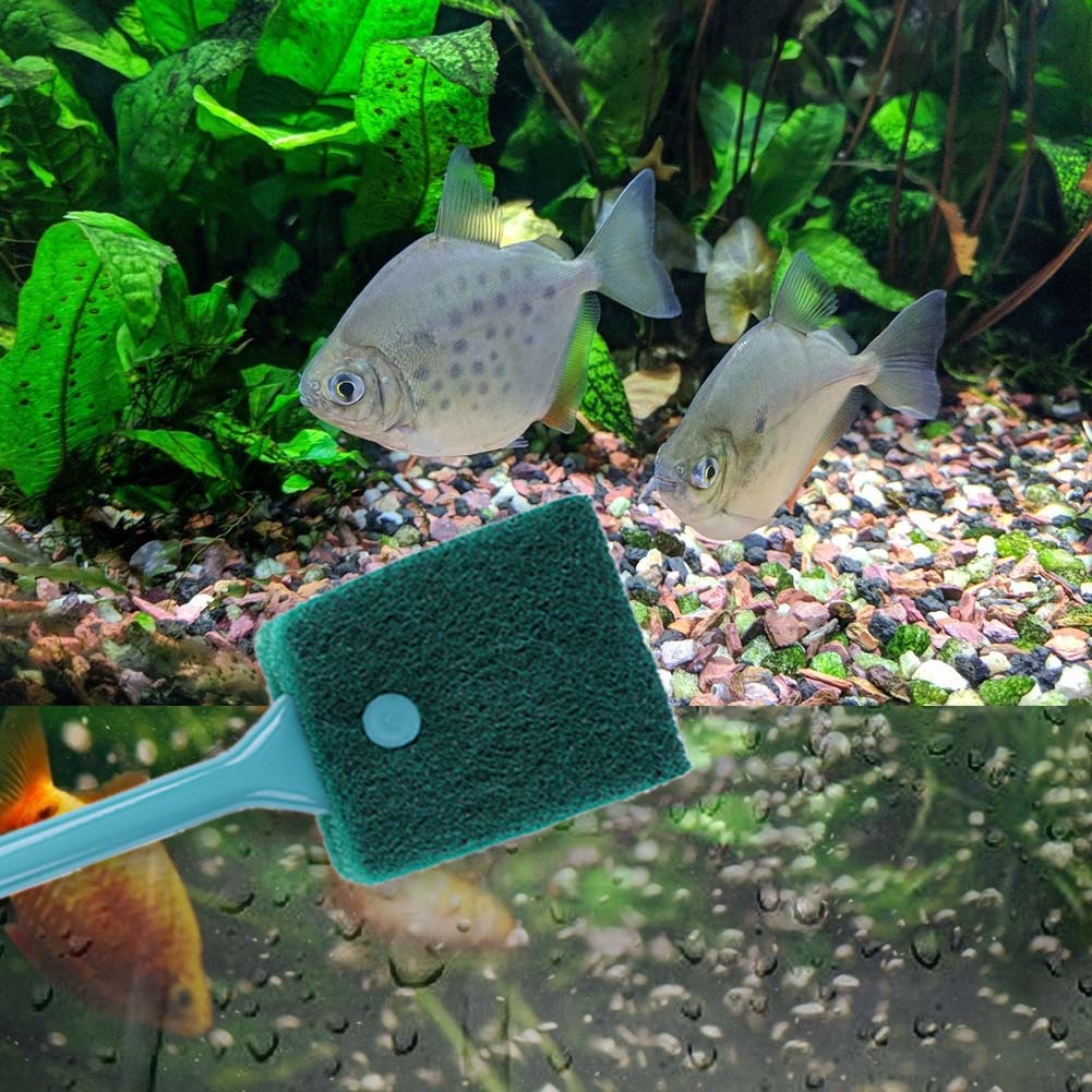 Limpador de esponja para aquár - Aquarium Fish Accessories avaliação e preço