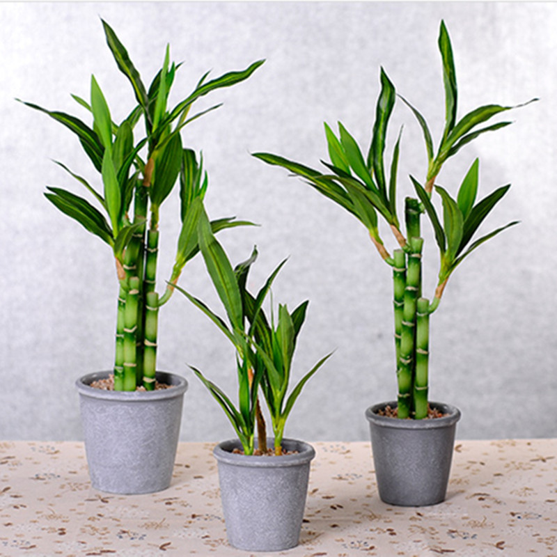 Nova Planta Artificial de Bamb - Aquarium Fish Buy avaliação e preço