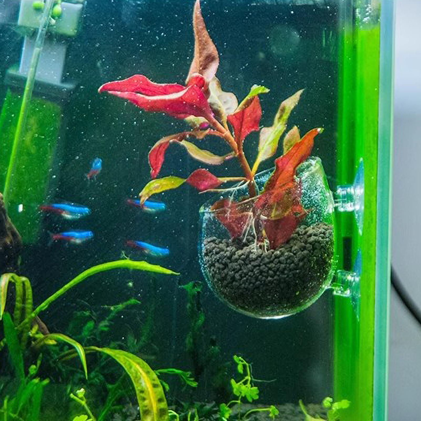 Suporte de Plantas para Aquári - Aquarium Fish Pot avaliação e preço