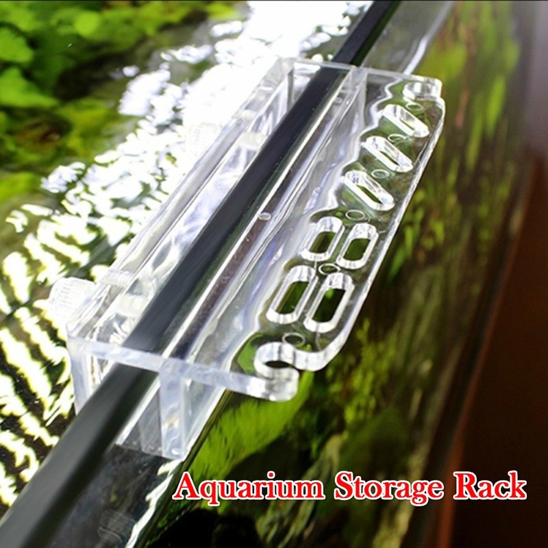 1 pçs novo aquário planta ferr - Aquarium Fish Buy avaliação e preço