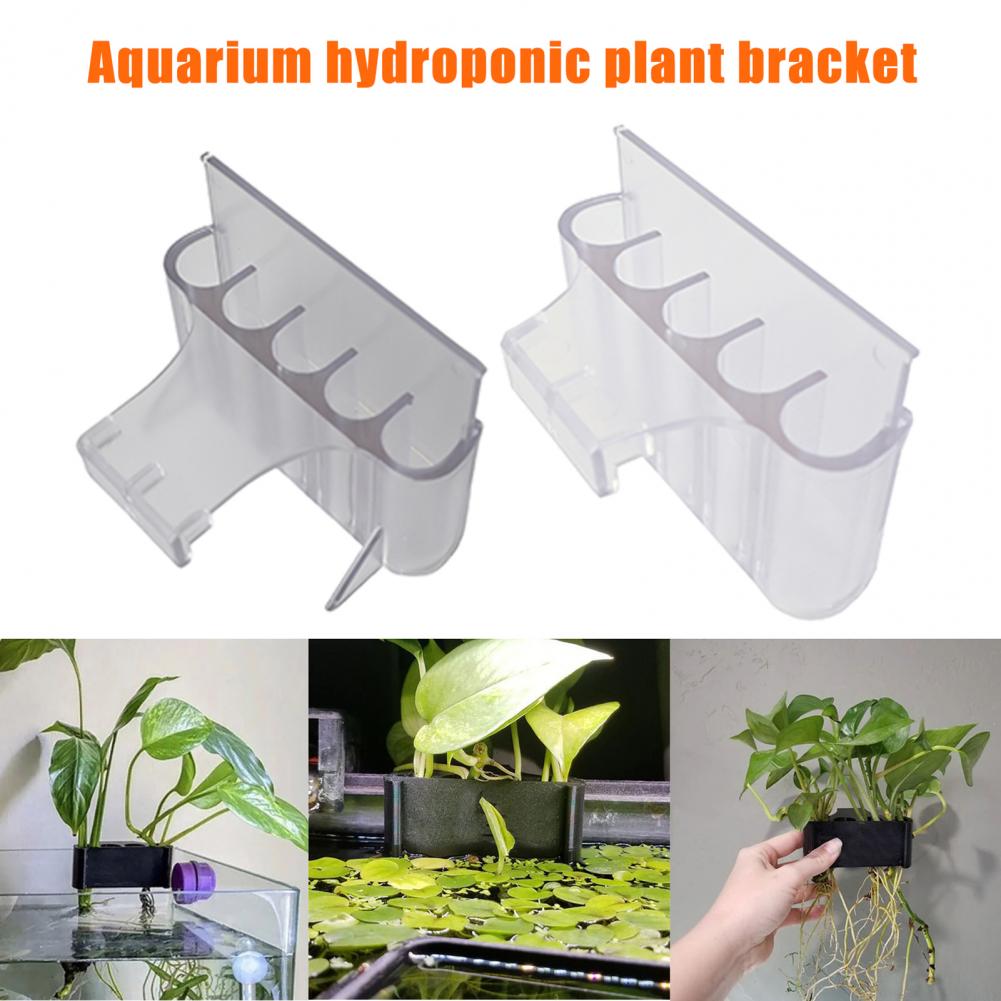 4.5/6.5cm suporte de planta de - Aquarium Fish Pot avaliação e preço