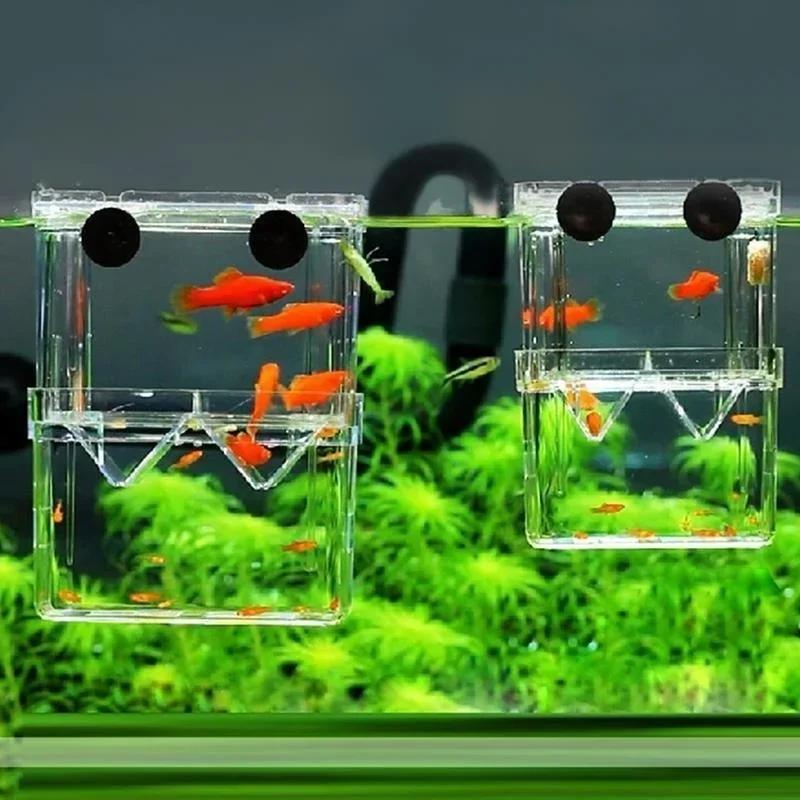Aquário de peixes transparente - Aquarium Fish Cave avaliação e preço
