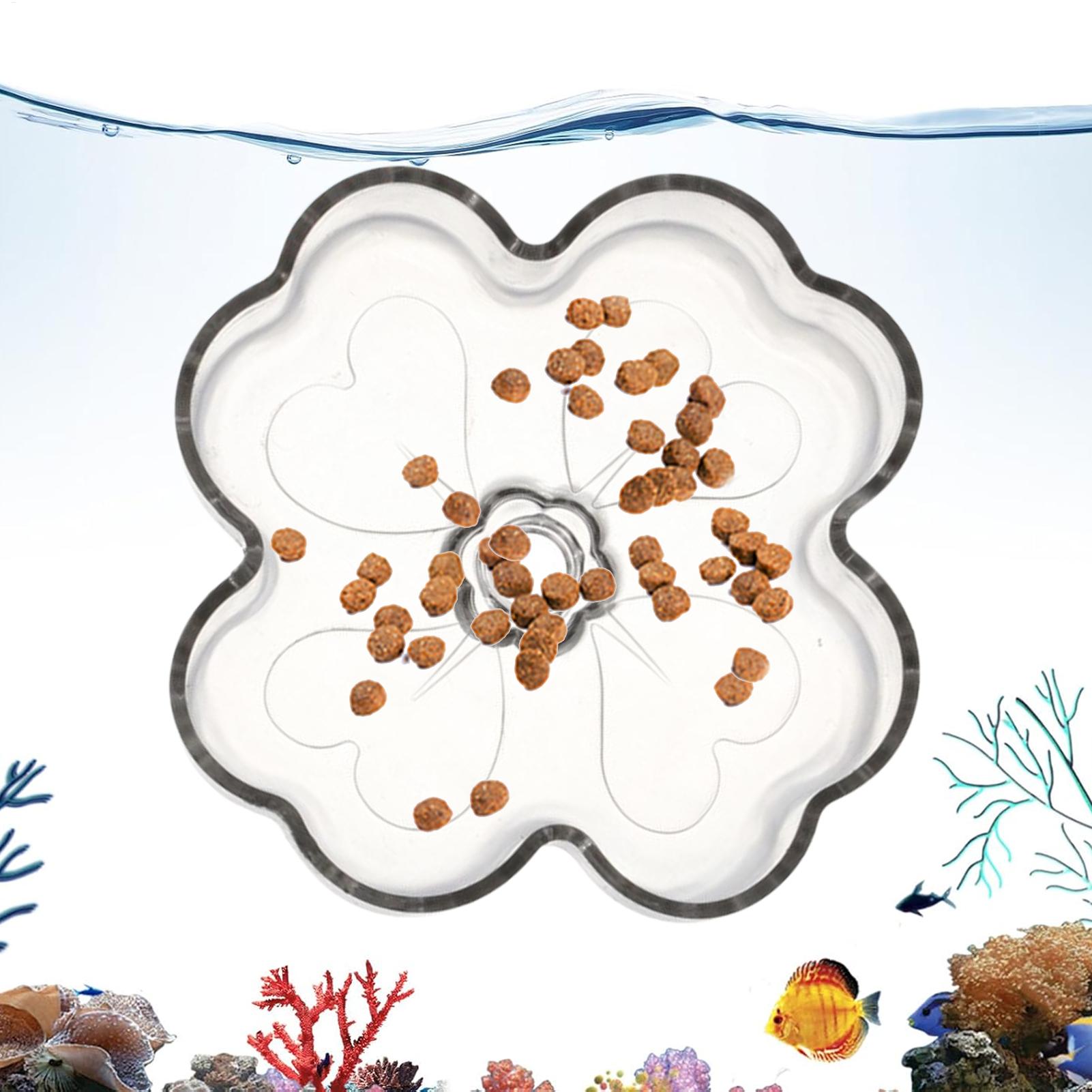 Prato Alimentador de Aquário c - Tetra Fish In Aquarium avaliação e preço