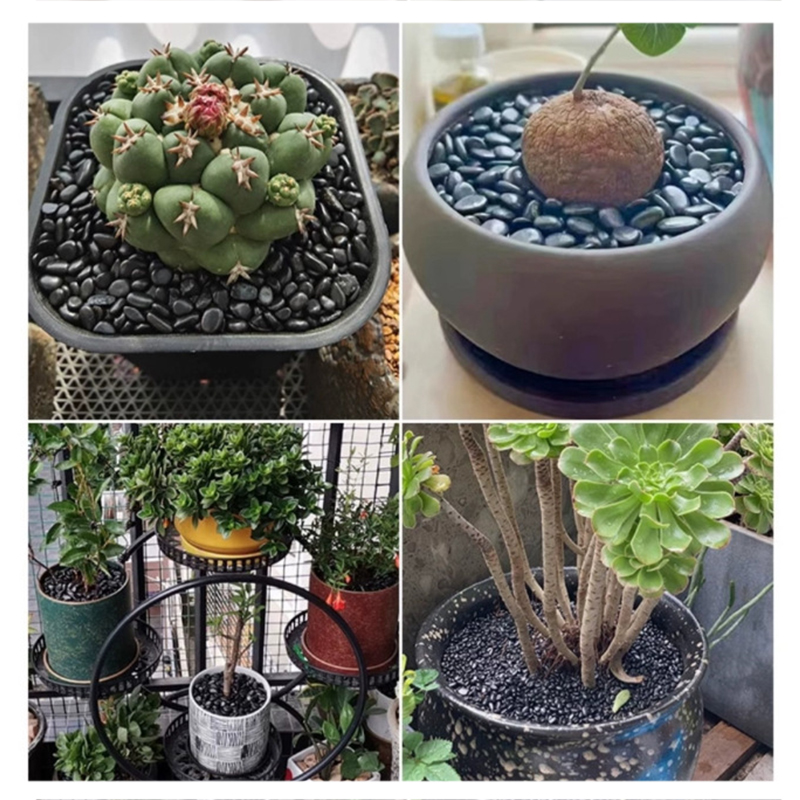 Pedras de rio polidas brancas  - Aquarium Decoration Rock avaliação e preço