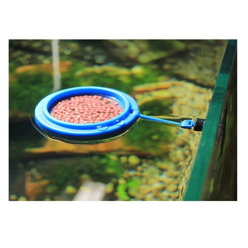 Anel de alimentação de peixes  - Tetra Fish In Aquarium avaliação e preço