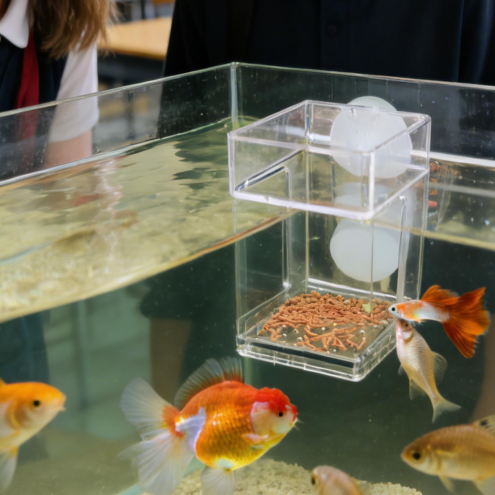 Comedouro para Aquário com Ven - Tetra Fish In Aquarium avaliação e preço