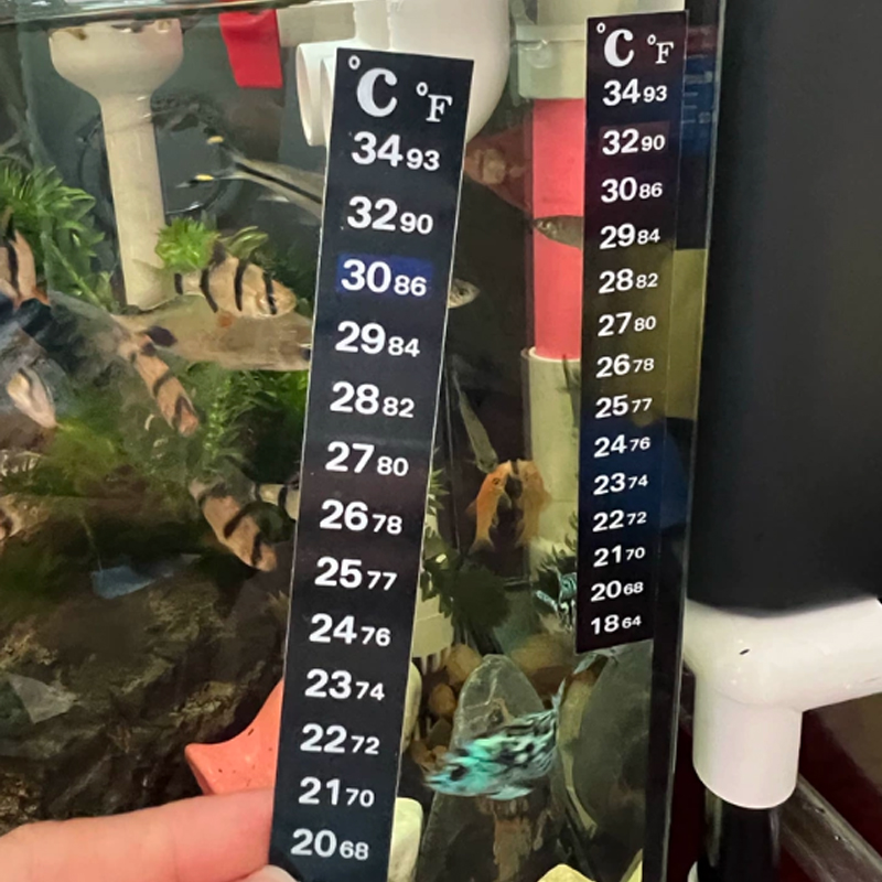1/5 PCS Termômetro de Alta Pre - Aquarium Fish Colorful avaliação e preço