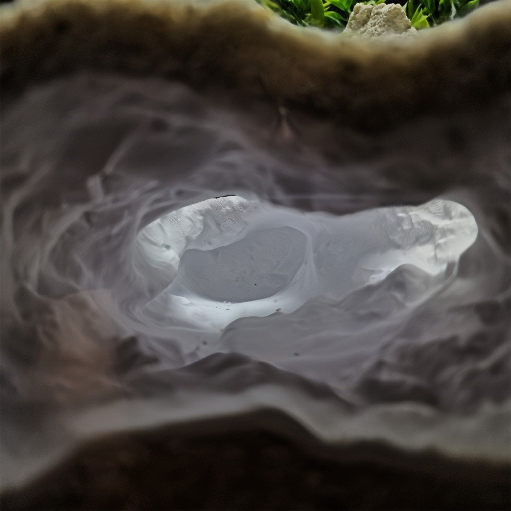 Aquário Altamente Simulado com - Aquarium Fish Reproduction avaliação e preço