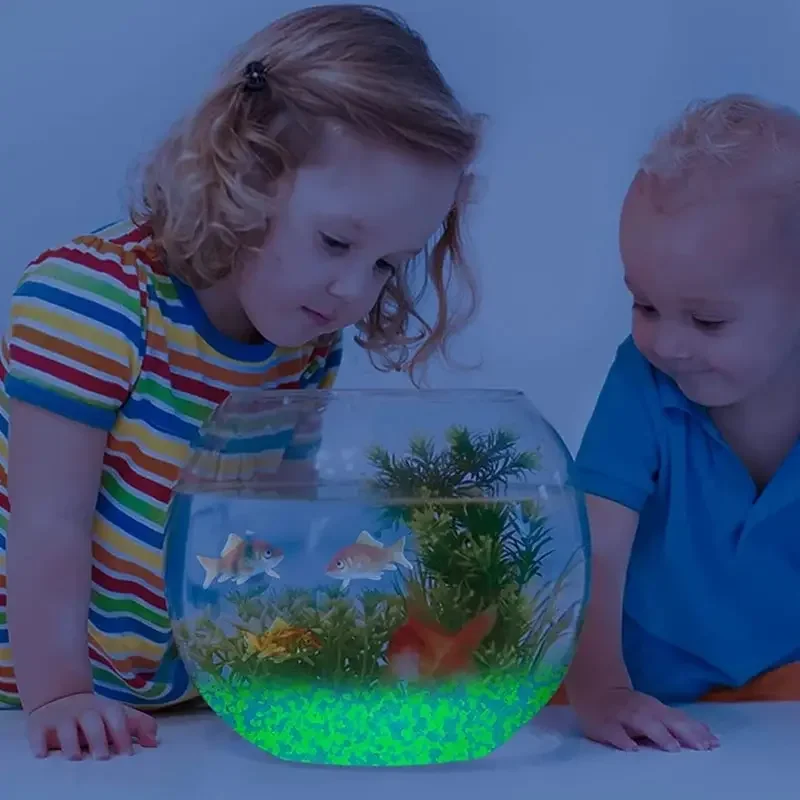1000 pçs 3-5mm areia luminosa  - Aquarium Decoration Rock avaliação e preço