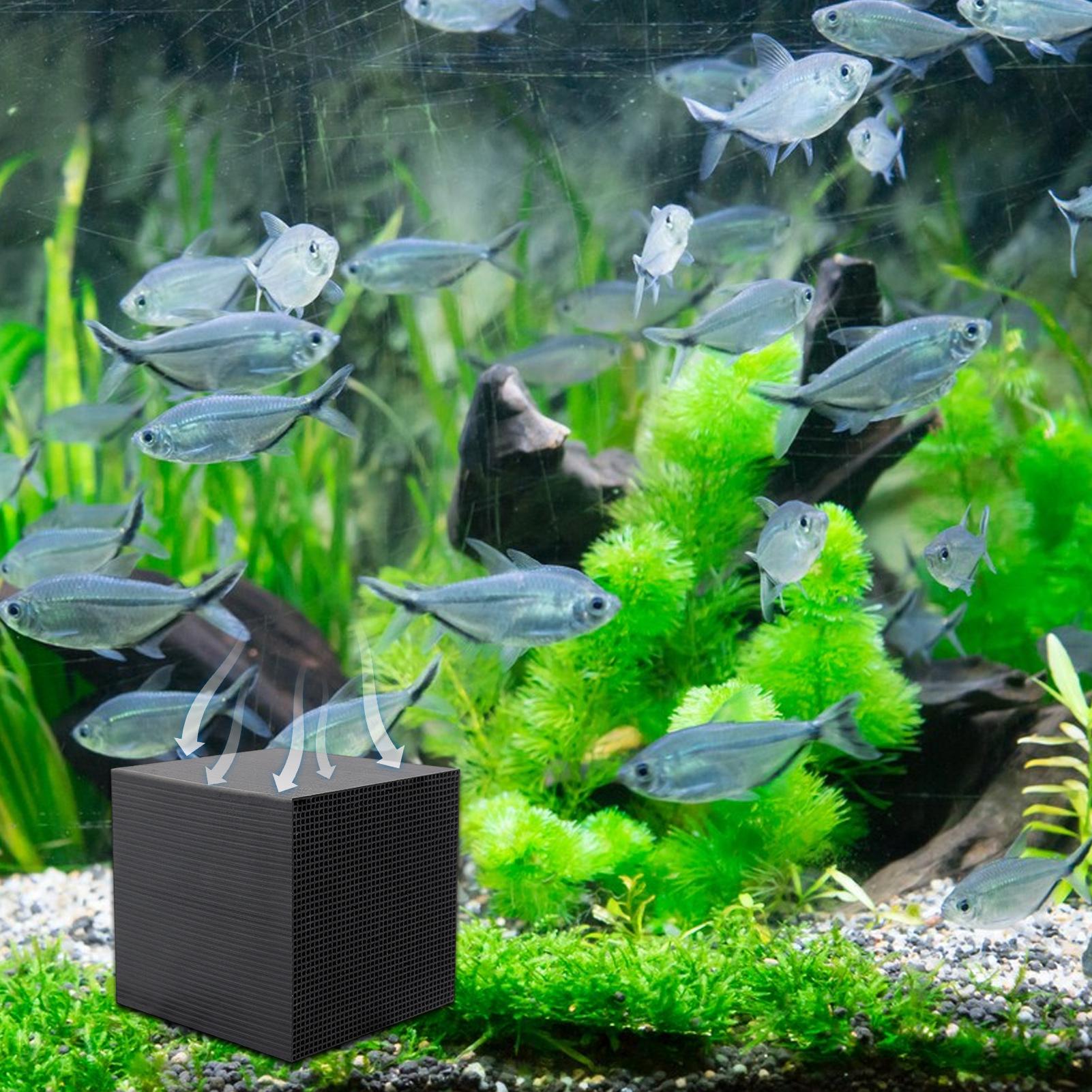 Cubo purificador de água para  - Aquarium Fish Cave avaliação e preço