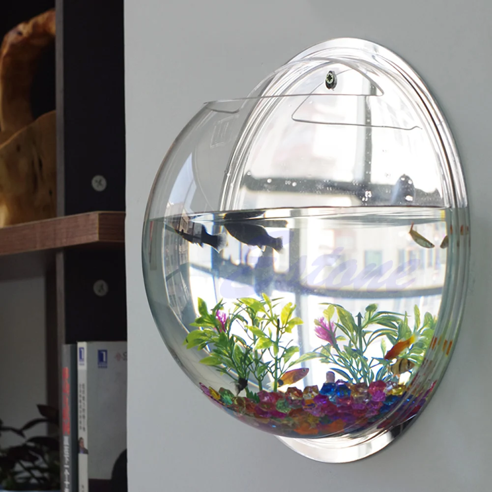 Pote parede pendurado montagem - Aquarium Fish Pot avaliação e preço