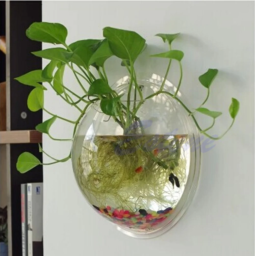 Pote parede pendurado montagem - Aquarium Fish Pot avaliação e preço