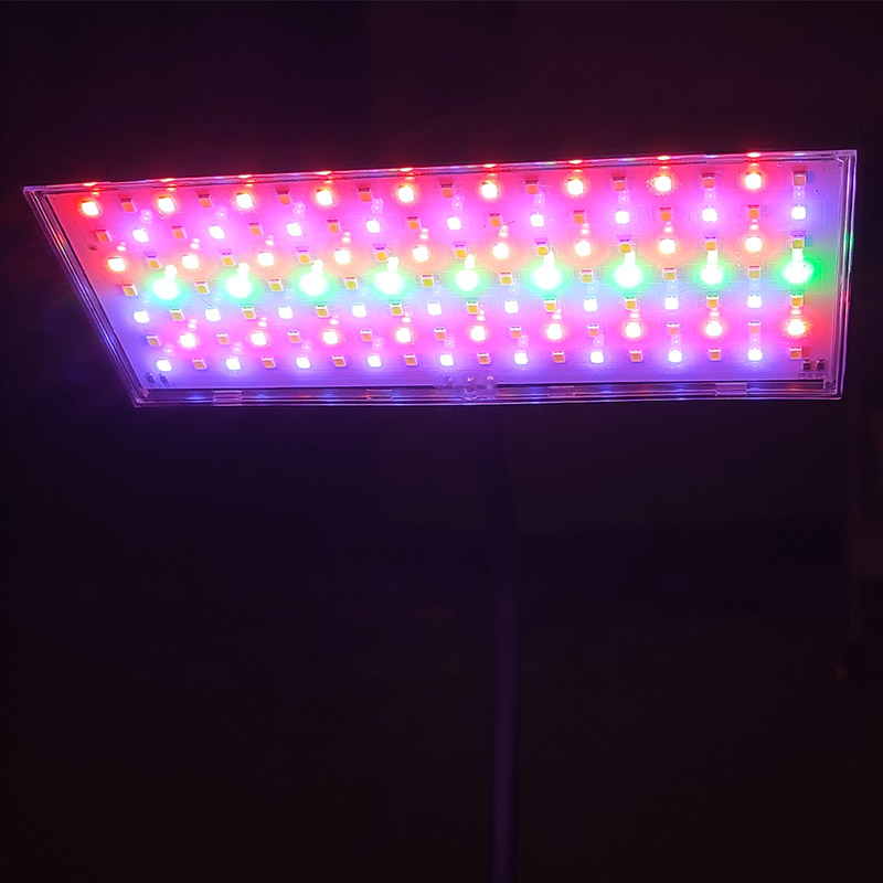 3 cores claras lâmpada de aquá - Aquarium Fish Colorful avaliação e preço