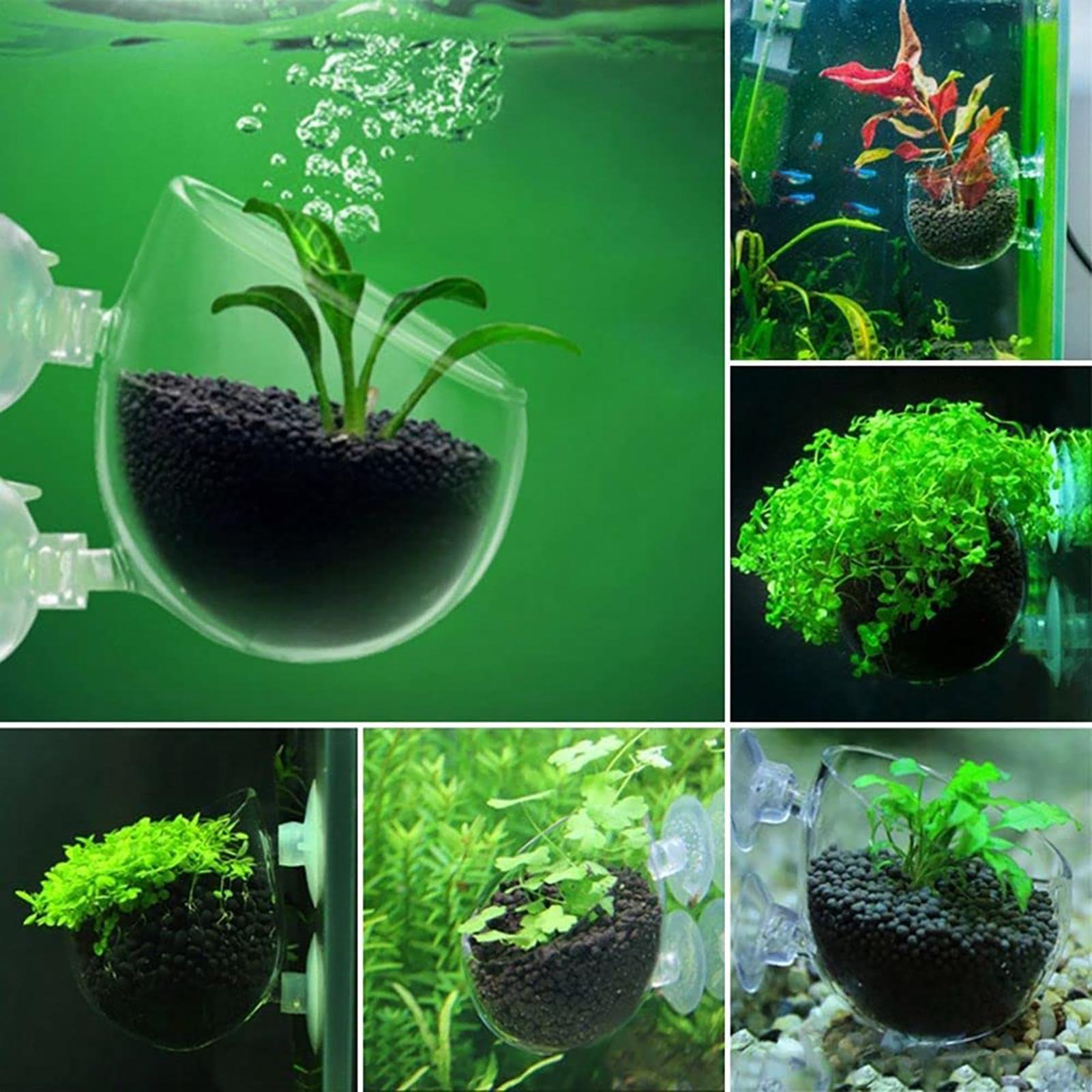 Vaso de Planta Aquática em Acr - Aquarium Fish Pot avaliação e preço