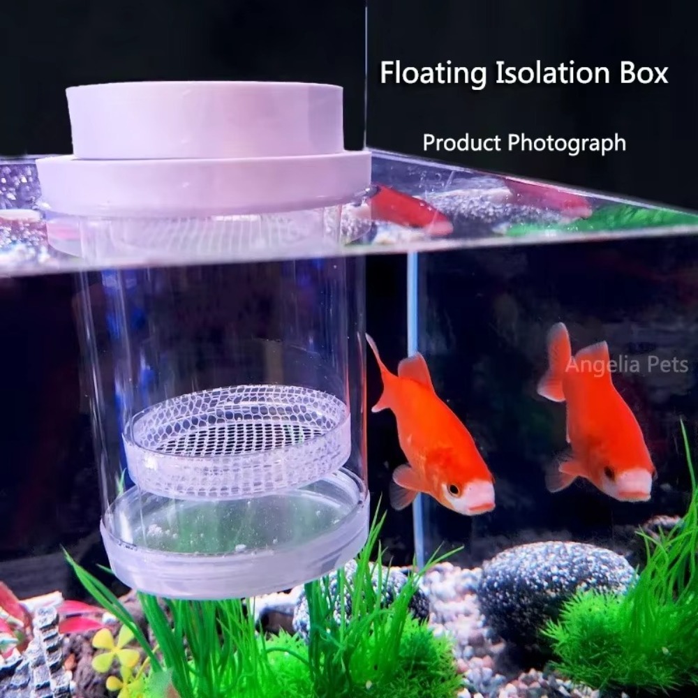 Plástico flutuante caixa de is - Aquarium Fish Cave avaliação e preço