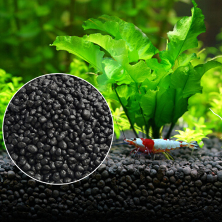 Solo para plantas do tanque de - Aquarium Fish Buy avaliação e preço