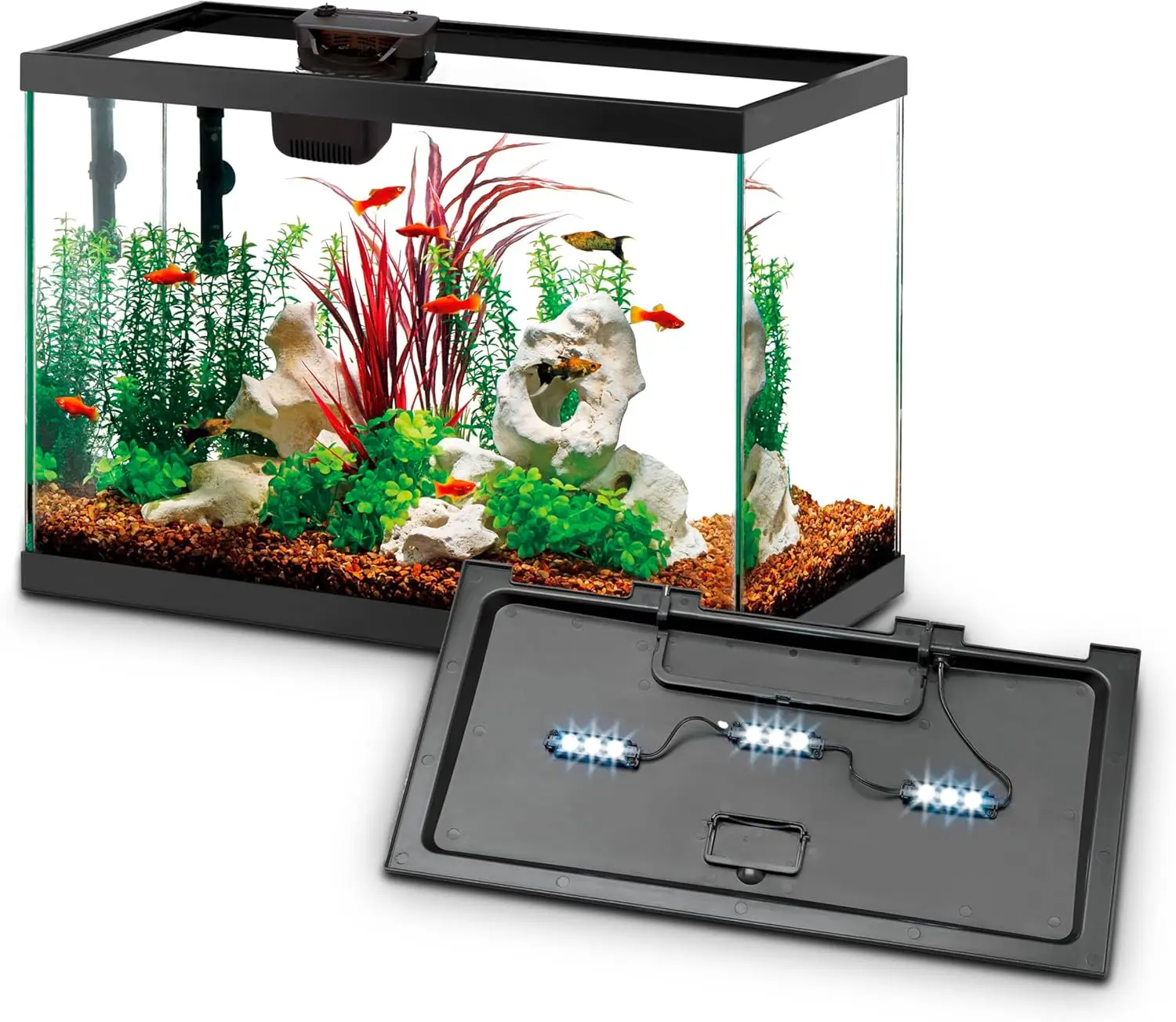 Kit Inicial para Aquário com F - Tetra Fish In Aquarium avaliação e preço