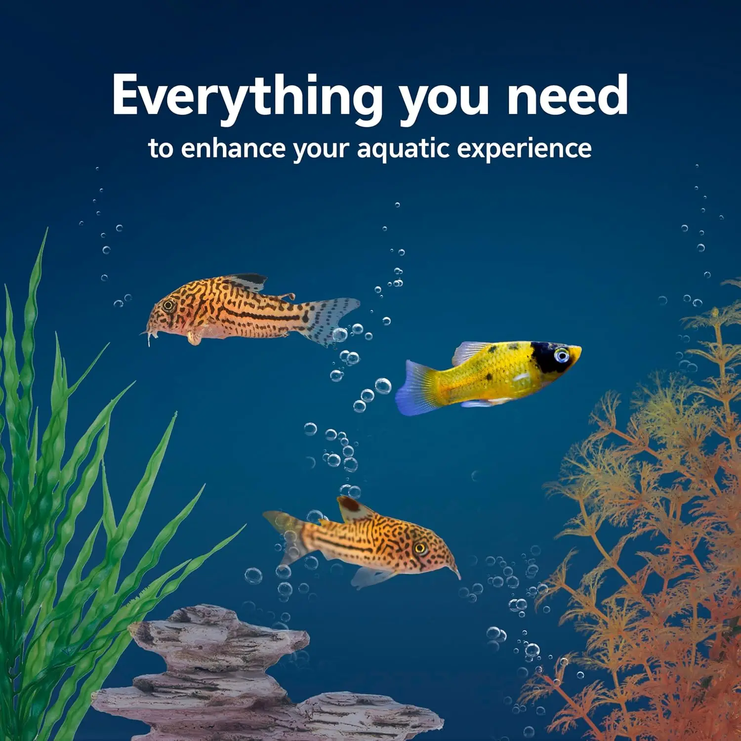 Kit Inicial para Aquário com F - Tetra Fish In Aquarium avaliação e preço