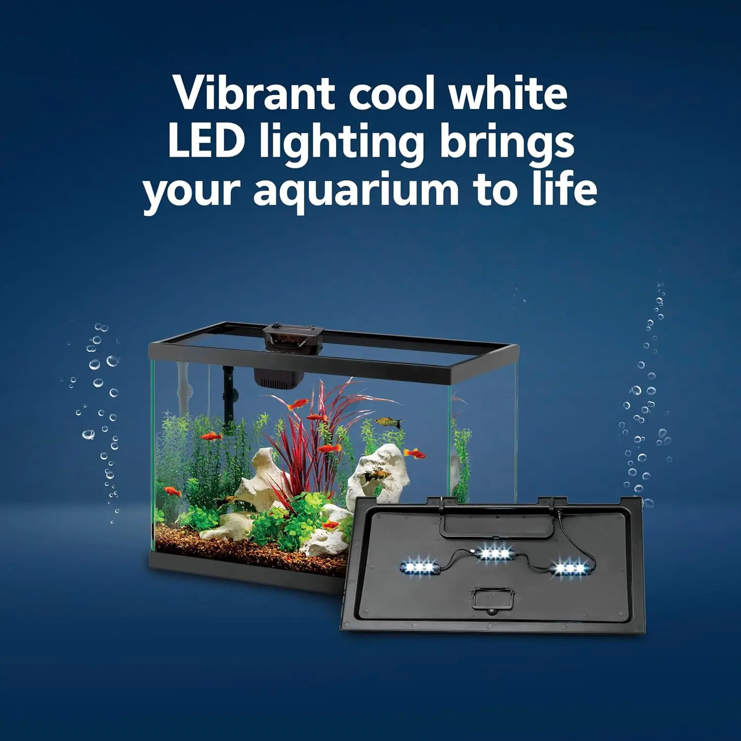 Kit Inicial para Aquário com F - Tetra Fish In Aquarium avaliação e preço