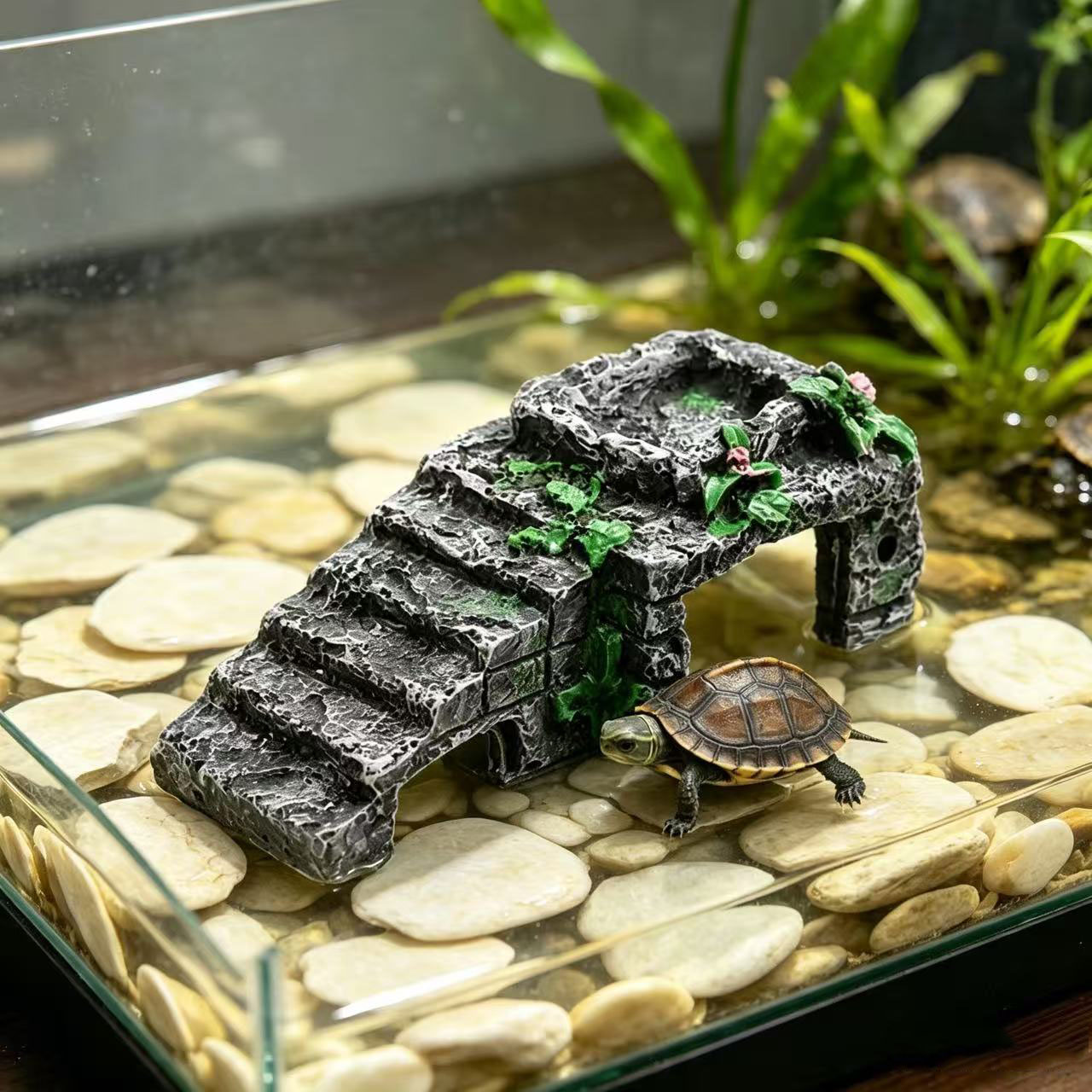 Plataforma de Escalada e Banho - Aquarium Fish Cave avaliação e preço