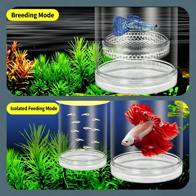 Caixa de Eclosão Transparente  - Aquarium Fish Cave avaliação e preço