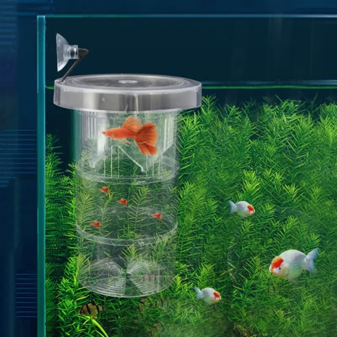 Acrílico flutuante caixa de is - Aquarium Fish Cave avaliação e preço
