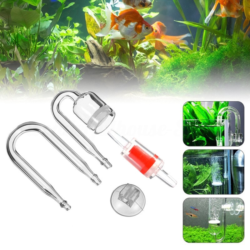 CO2 Difusor para Aquário, DIY  - Live Fish Aquarium avaliação e preço