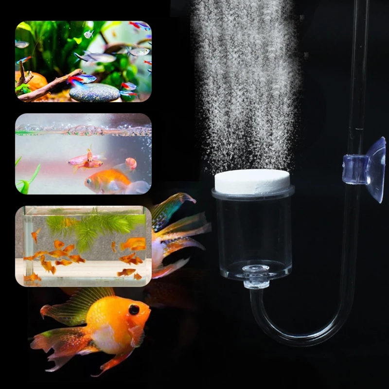 CO2 Difusor para Aquário, DIY  - Live Fish Aquarium avaliação e preço