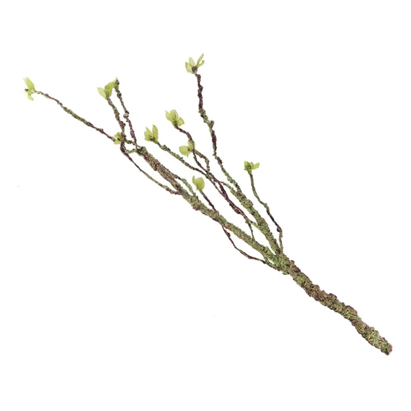 Vinhas decoração galhos de esc - Aquarium Fish Buy avaliação e preço
