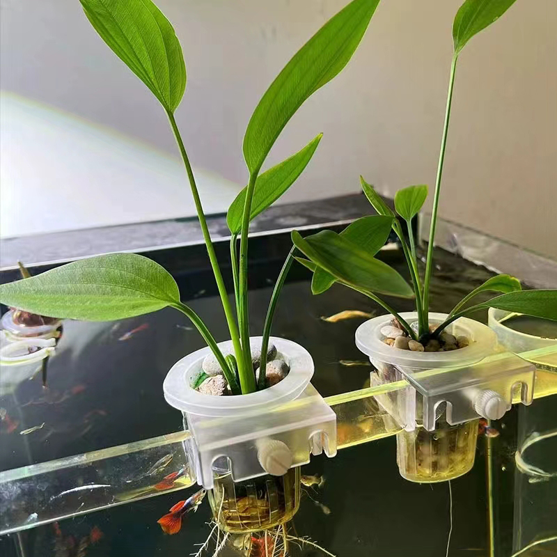Cesta de plantio de aquário, s - Aquarium Fish Pot avaliação e preço
