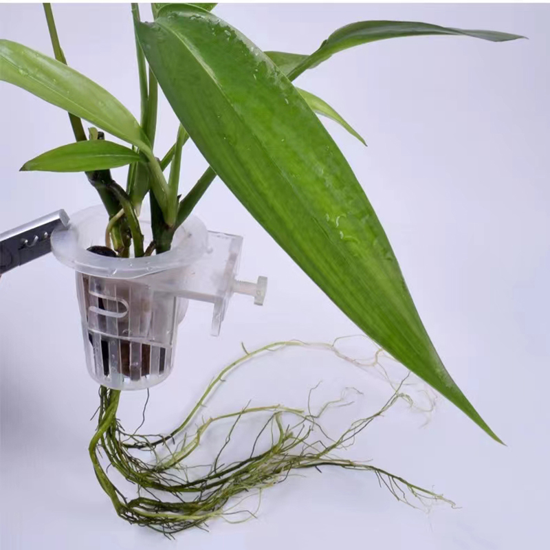 Cesta de plantio de aquário, s - Aquarium Fish Pot avaliação e preço